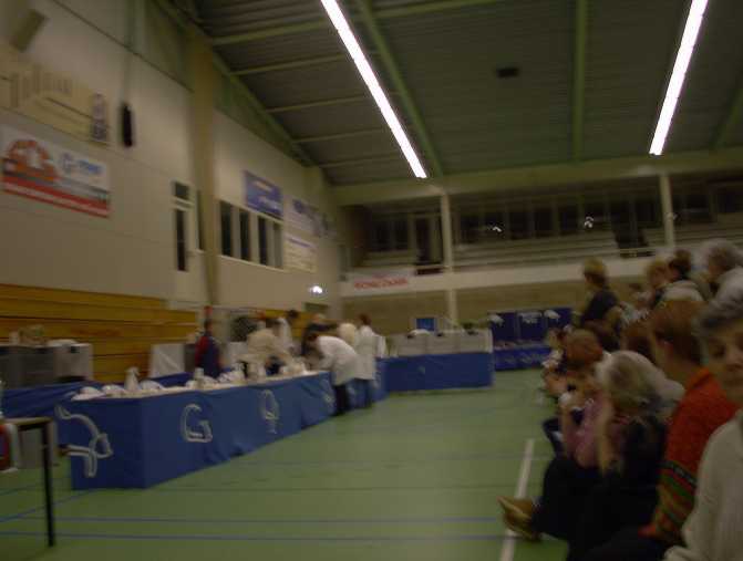 Sneek Mundikat 2003